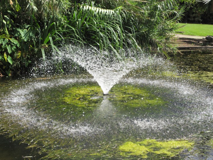 Water feature, Brisbane's Botanical Gardens
