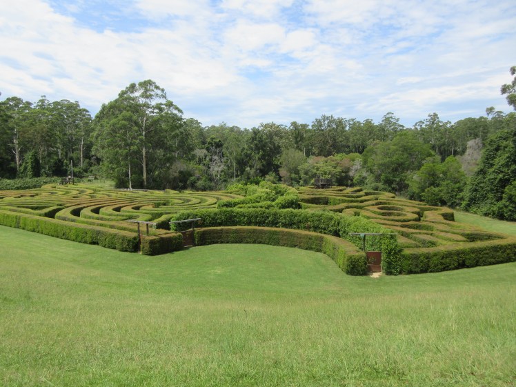 Bago Winery maze, NSW, Australia